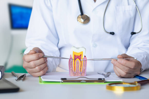 Best Broken or Cracked Tooth Emergency Dentist in Lincolndale, NY
